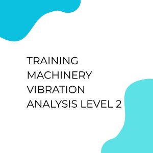 pelatihan Machinery Vibration Analysis Level 2 di bali